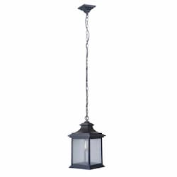 Medium Gentry Outdoor Pendant Light w/o Bulb, 1 Light, E26, Midnight