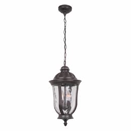 Frances Outdoor Pendant Light w/o Bulb, 2 Light, E12, Oiled Bronze