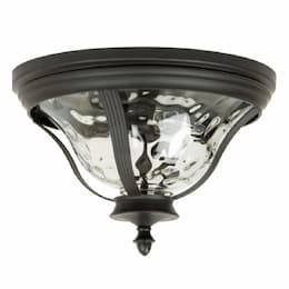 Frances Outdoor Flush Mount w/o Bulb, 2 Light, E26, Oiled Bronze