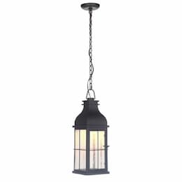 10W LED Medium Vincent Outdoor Pendant, Non-Dim, 3000K, Midnight