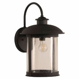 Large O'Fallon Outdoor Lantern Wall Sconce w/o Bulb, E26, Dark Bronze