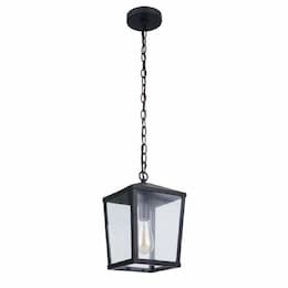 Medium Olsen Outdoor Pendant Light w/o Bulb, 1 Light, E26, Midnight