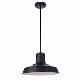 Medium Briscoe Outdoor Pendant Light w/o Bulb, 1 Light, E26, Midnight