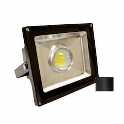 50W LED Flood Light w/Adjustable U-Shaped Bracket, 5422 lm, 5000K, Black