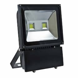 70W LED Flood Light w/Adjustable U-Shaped Bracket, 9000 lm, 6500K, Black