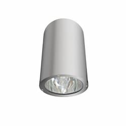 18W LED Ceiling Light, Flood, 6400K, Aluminum