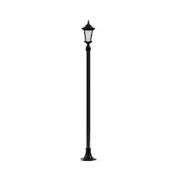 16W 9-ft LED Gabriella Post Top Light, Single-Head, 120V, Black