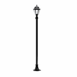 16W 8-ft LED Daniella Post Top, Single-Head, 120V, Black/Clear