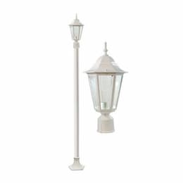 16W LED 8-ft Daniella Post Top Light, Single-Head, 120V, White/Clear