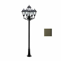 6W 10-ft LED Lamp Post, Five-Head, 1550 lm, 120V, Bronze/Clear, 3000K