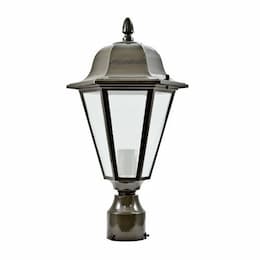 6W LED Daniella Post Top Fixture, Single-Head, 120V, Bronze/Clear