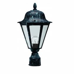 16W LED Daniella Post Top Fixture, Single-Head, 120V, Green/Clear