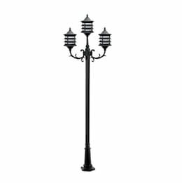 6W 10-ft LED Stephanie Lamp Post, Three-Head, A19, 120V, Black