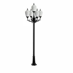 16W Alisa Five Light LED Lamp Post w/Polycarbonate Lens, Black