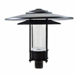 20W LED Large Post Top Fixture w/ Clear Lens, 120V-277V, 5000K, Black