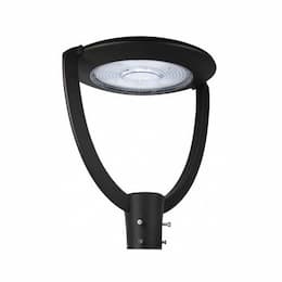 75W LED Large Post Top Fixture, 9750 lm, 100V-277V, 5000K, Black