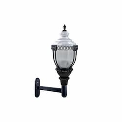 120W Clear Acorn LED Wall Fixture w/Mogul Base, Black