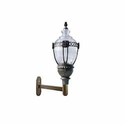 120W Clear Acorn LED Wall Fixture w/Mogul Base, Bronze