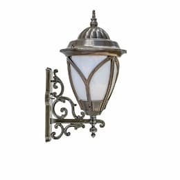 30W 1 Light Acorn Lantern LED Wall Fixture w/PC Lens, Bronze