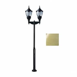 120W Two Light Dark Sky Top Acorn LED Lamp Post Fixture w/PC Lens, Bronze