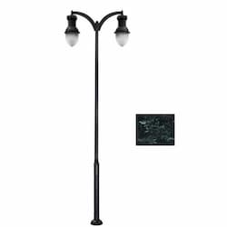 Dabmar 120W Two Arm Acorn Aluminum LED Lamp Post w/PC Lens, Verde Green