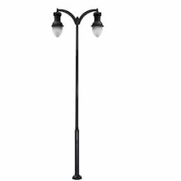 Dabmar 75W Two Arm Acorn Aluminum LED Lamp Post w/PC Lens, Black