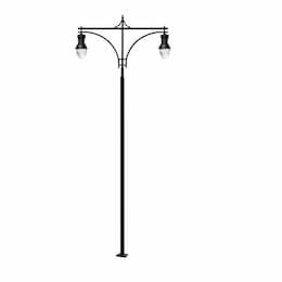 Dabmar 120W Two Arm Acorn Steel LED Lamp Post w/PC Lens, Black