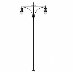 Dabmar 75W Two Arm Acorn Steel LED Lamp Post w/PC Lens, Black