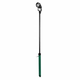 Dabmar 6W Directional Spot Light w/ 24-in Stem, 320 lm, 12V, 3000K, V. Green