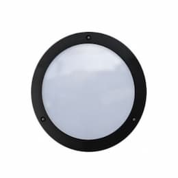 9W LED Round Surface Mount Wall Light, 120V, 6500K, Black