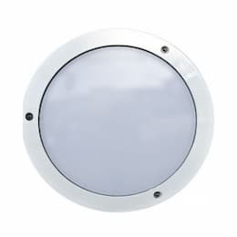 9W LED Round Surface Mount Wall Light, 120V, 6500K, White