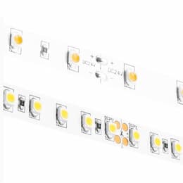 16.4-ft 1.46W/ft Blaze LED Tape Light, 24V, 2000K