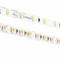 Diode LED 100-ft 4.3W LED Tape Light, Dim, 264 lm, 24V, 2000K