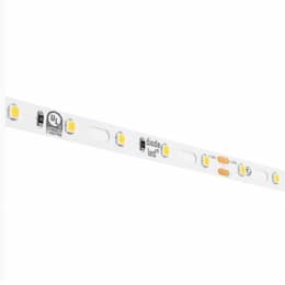 100-ft 2.2W LED Tape Light, Dim, 193 lm, 24V, 3000K