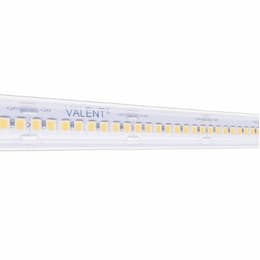 100-ft 1.72W/ft Valent High Density Tape Light, Wet, 24V, 2400K