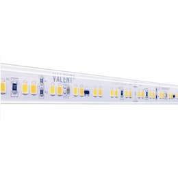 16.4-ft 4.4W/ft Valent Warm Dim Tape Light, Wet, 24V, 3000K-1800K