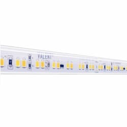 100-ft 4.4W/ft Valent Warm Dim Tape Light, Wet, 24V, 3000K-1800K