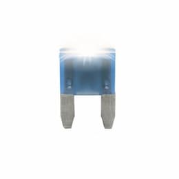 MINI Smart Glow Blade Fuse, 25A, 2 Pack