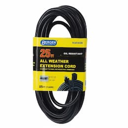 Bergen 15 Amp 25-ft Extension Cord w/ Single Outlet, #14/3 AWG, 125V, Black