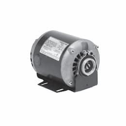 Special Application Carbonator Pump, 48Y, 1725 RPM, 3/4 HP, 380V/460V