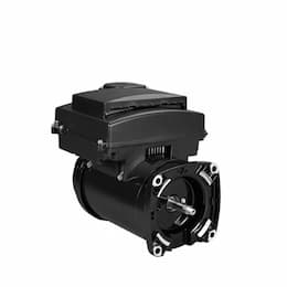 2200W Affinity Variable Speed Motor/Control, 56Y FRME, 3 HP, 230V