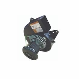 Draft Inducer Blower Motor, 3000 RPM, 1/30 HP, 1.6A, 60 Hz, 115V