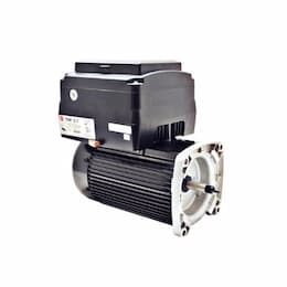 Neptune Pool & Spa Motor, 48Y, 600-3450 RPM, 1.25 HP, 115V/230V