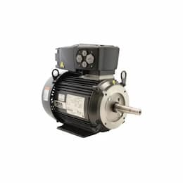 700W ID3000 Fusion Motor, FTD, 143TC FRME, 3525 RPM, 1 HP, 60 Hz, 460V