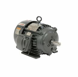 7500W Hazardous Location Motor, 256T FRME, 1180 RPM, 10 HP, 230V/460V