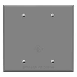 2-Gang Standard Wall Plate, Blank, Metal, Black