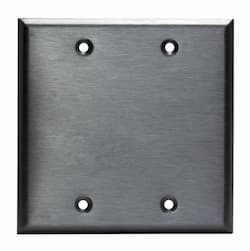 Enerlites Stainless Steel 2-Gang Blank Metal Wall Mounted Plate