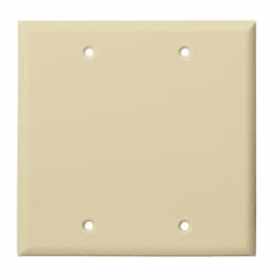 Ivory Colored Thermoplastic Two-Gang Blank Wall Plate