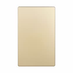 1-Gang Standard Wall Plate, Blank, Screwless, Gold