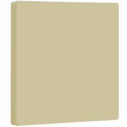 2-Gang Standard Wall Plate, Blank, Screwless, Ivory